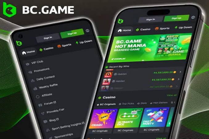How to Download BC Game A Comprehensive Guide 891058349 How to Download BC Game A Comprehensive Guide 891058349