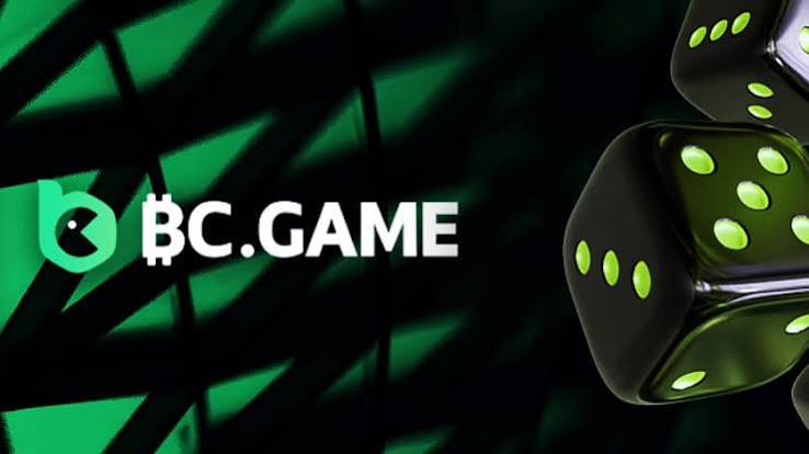 Understanding Verification & KYC at BC.Game 909459411 Understanding Verification & KYC at BC.Game 909459411